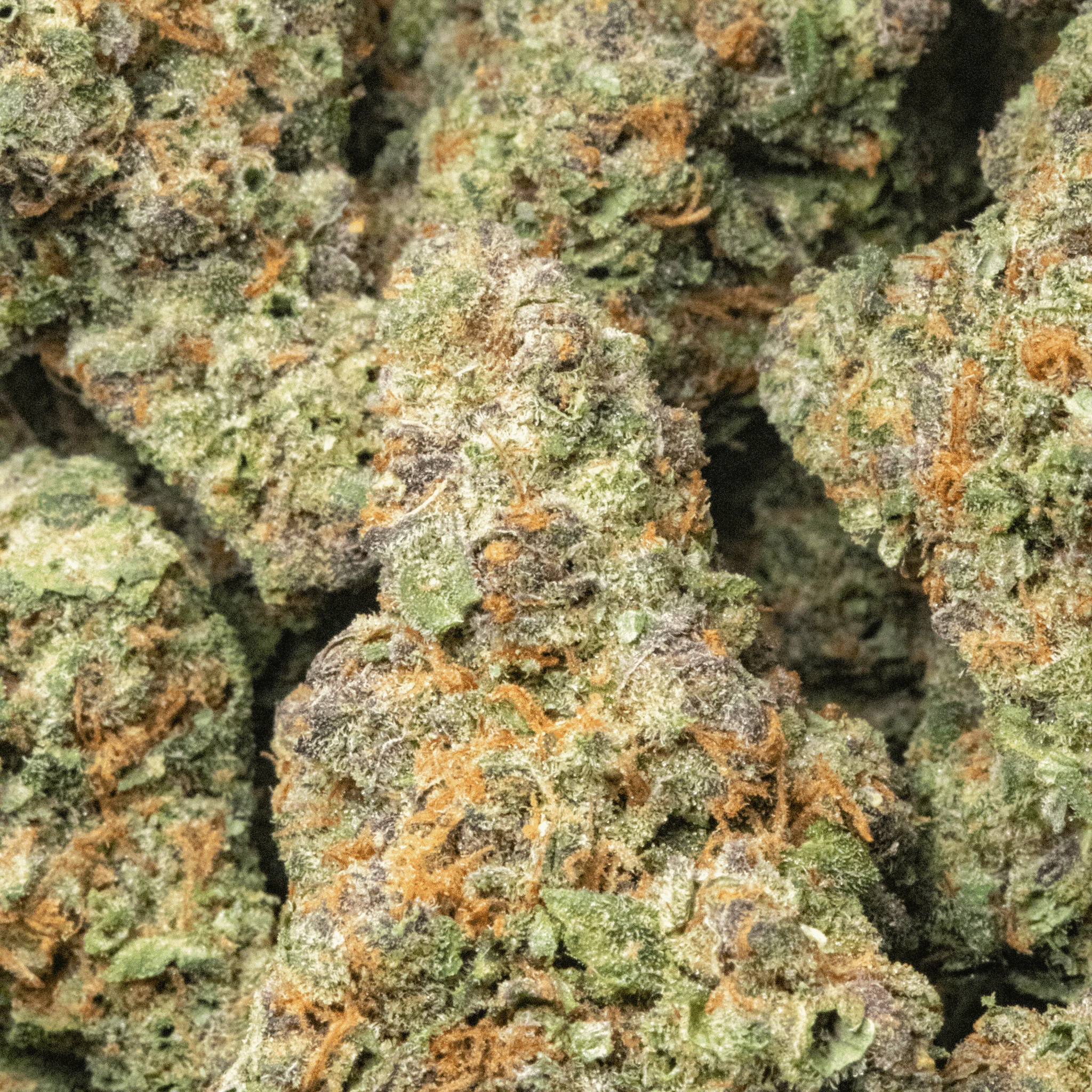 Blackberry Blossom – smalls – 16gr