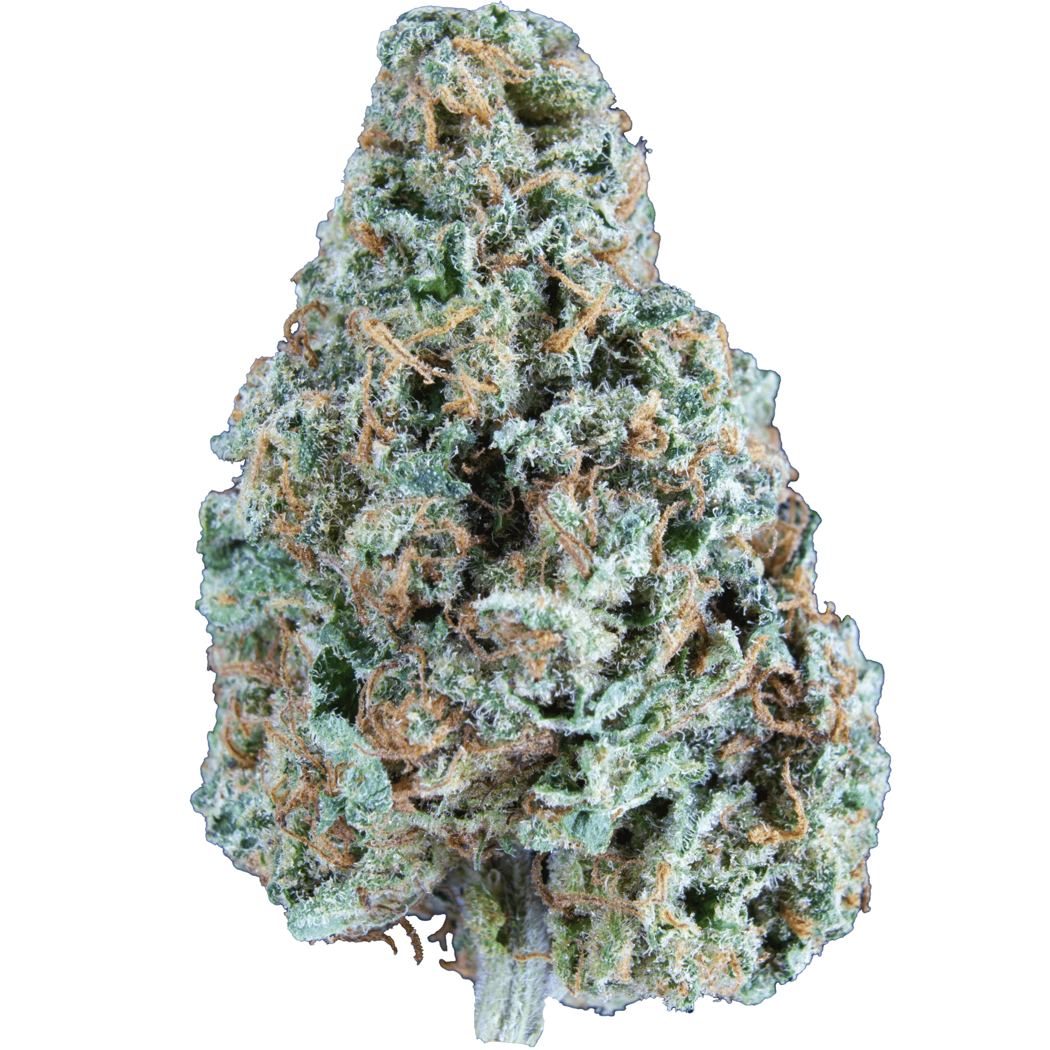 Type 2 Flower (we pick strain)