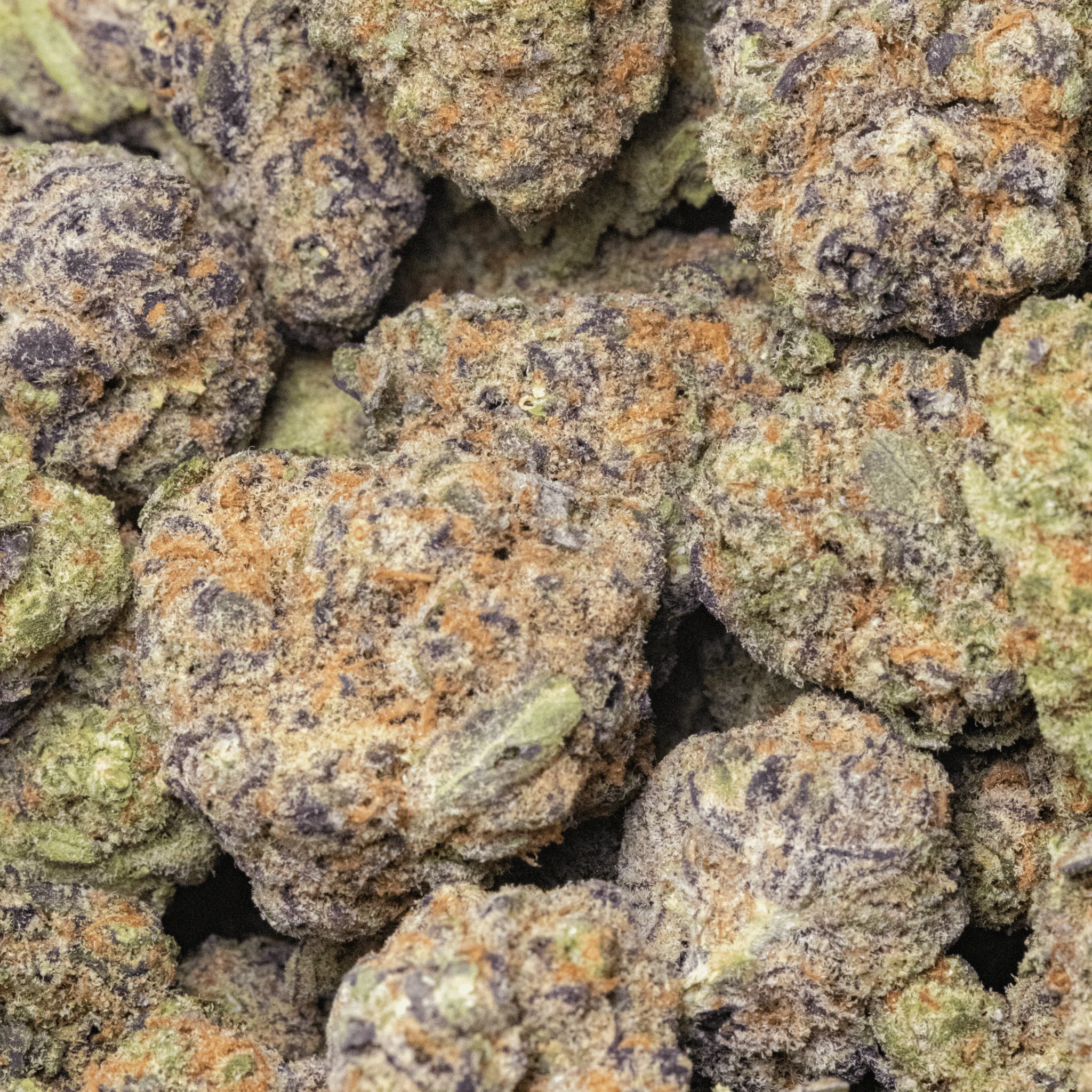 Grape Jolly Rancher – 16 gr