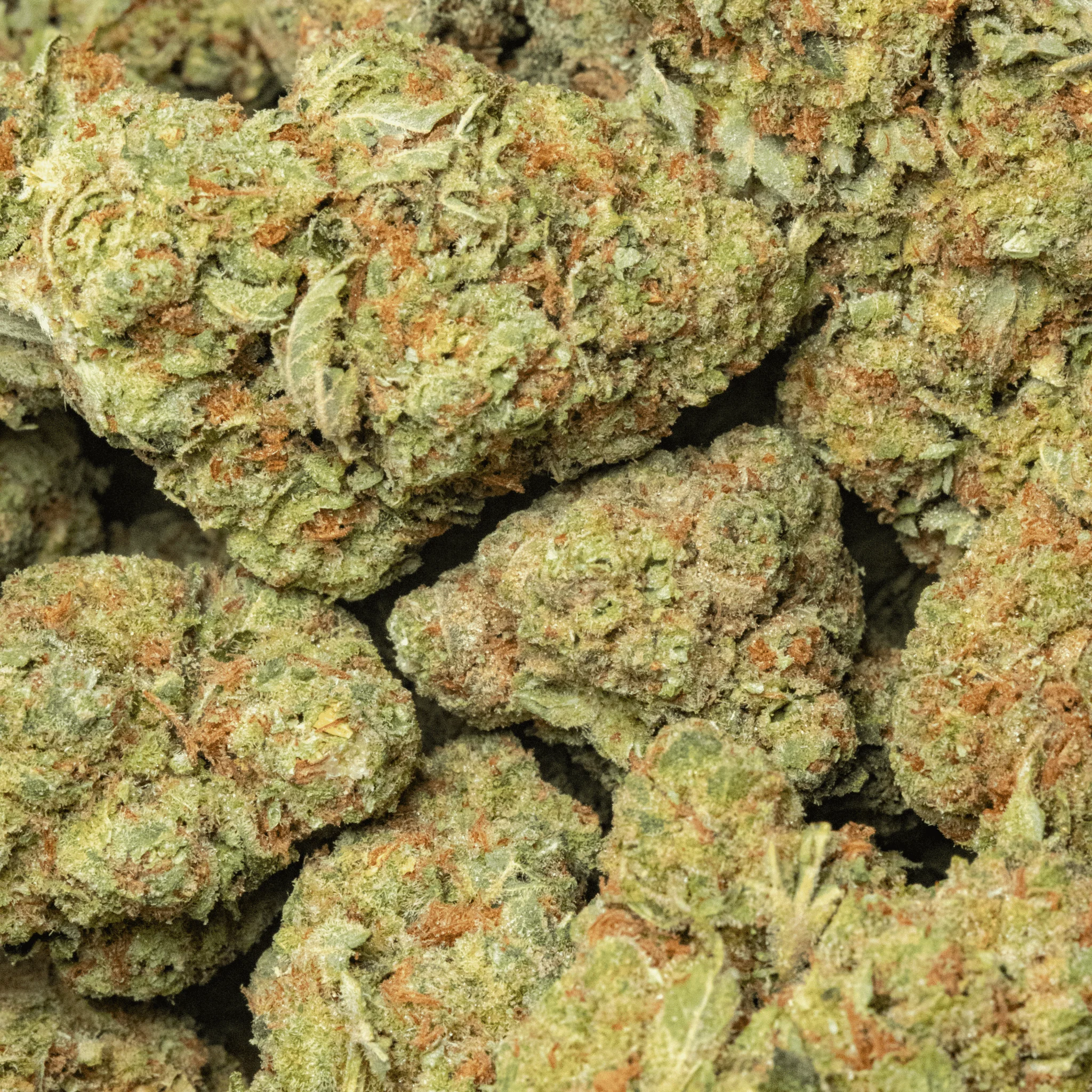 Sour Diesel – smalls – 16gr