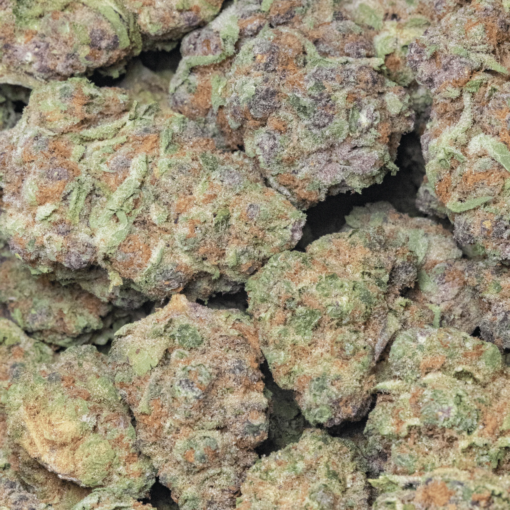 Super Boof – 16 gr