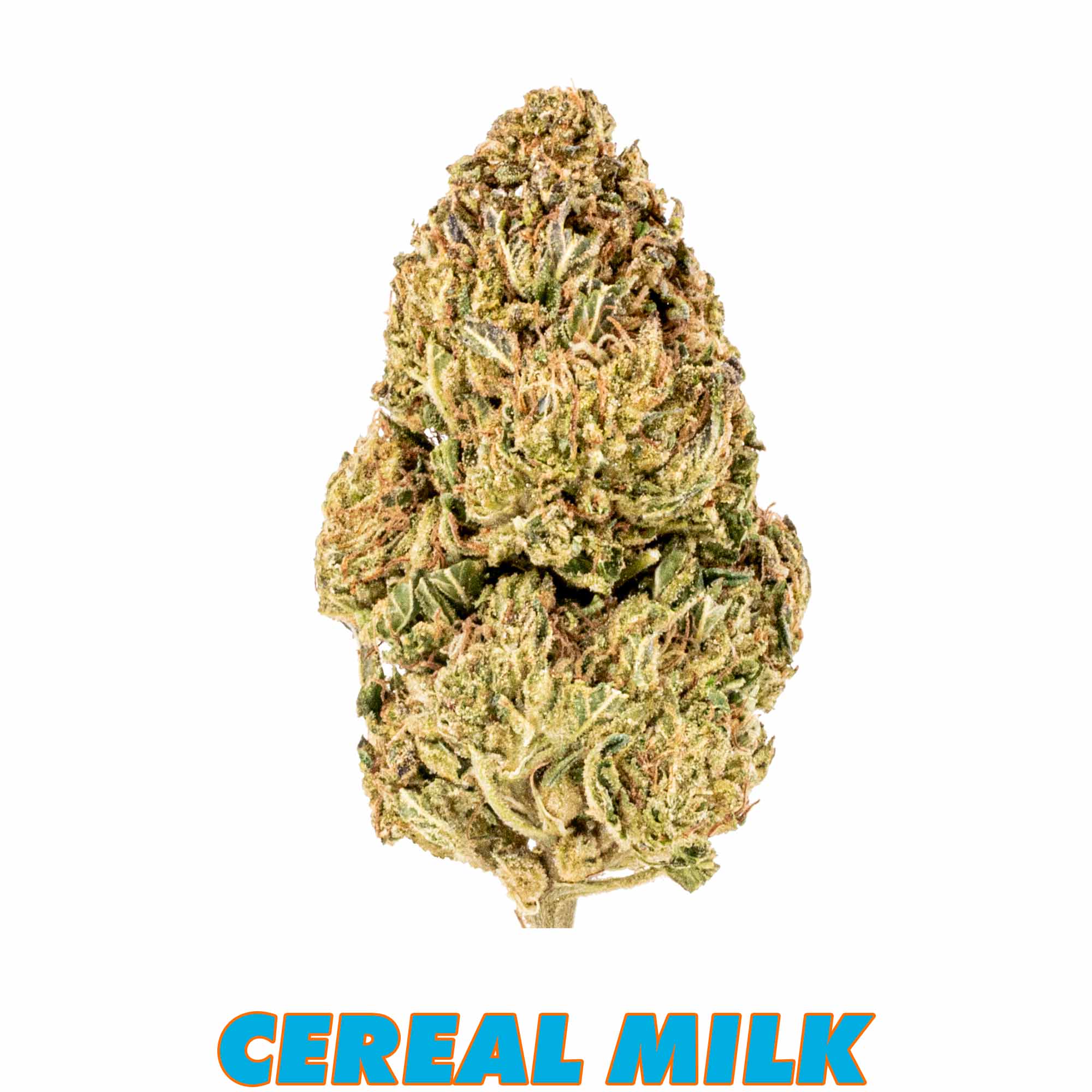 THCa Flower – Traditional Cereal Milk, Size: E. – 1 lb