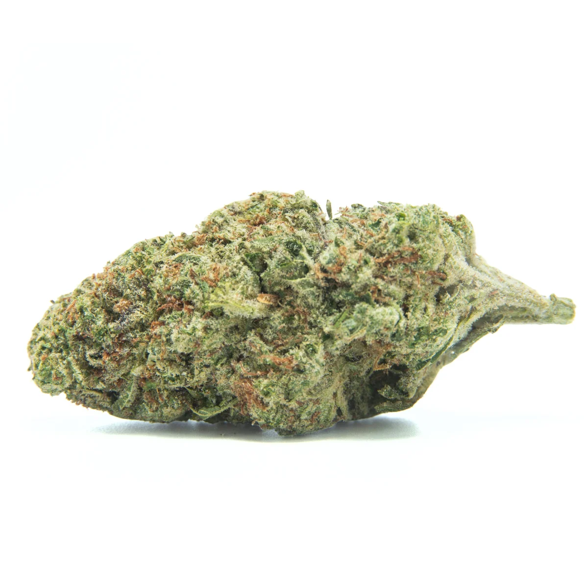 Chocolate Chip Craft Reserve THCA Flower – 1g