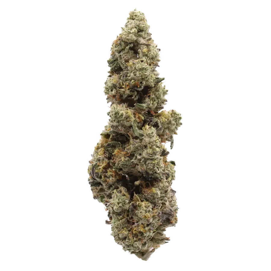 Garlic Icing THCa Flower – Super Exotic AAA – 28 grams