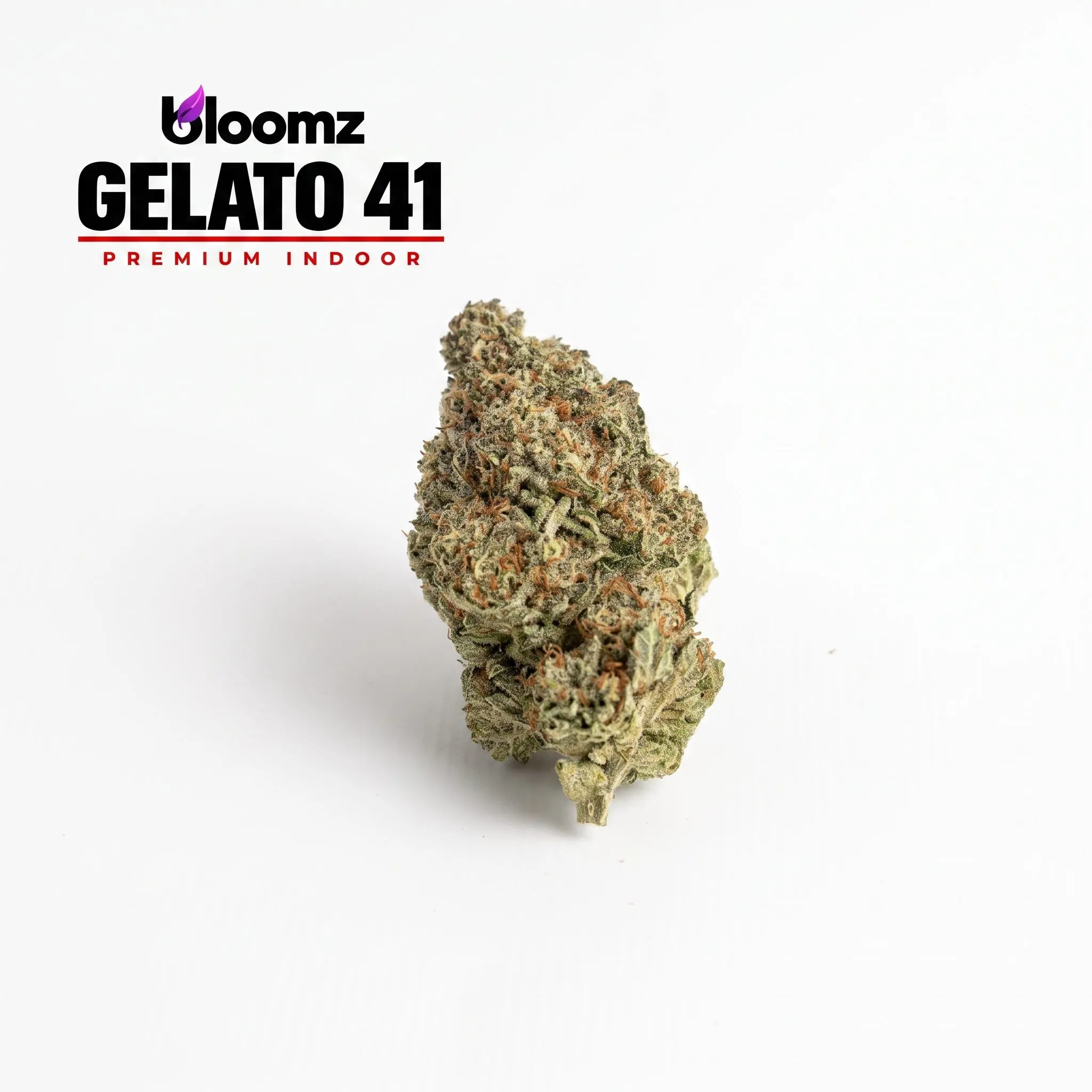 Gelato 41 — Bloomz Hemp