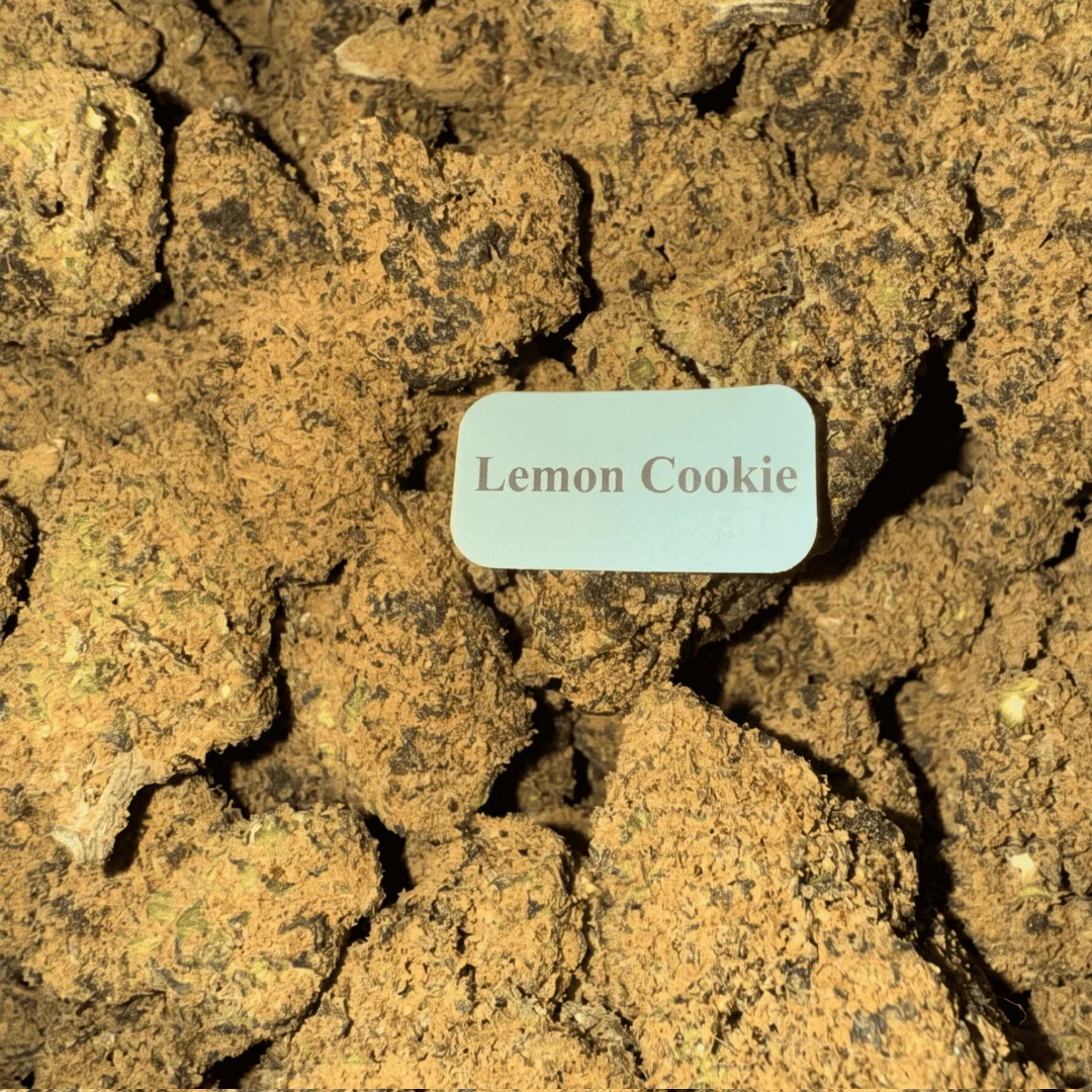 THCA Moonrocks – 7g, Flavor: Lemon Cookie