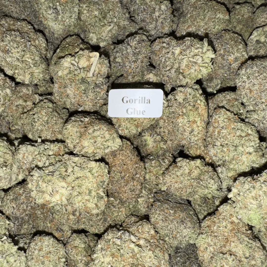 Gorilla Glue — Bloomz Hemp