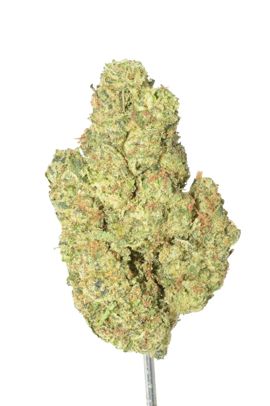 Lurch – 1 oz
