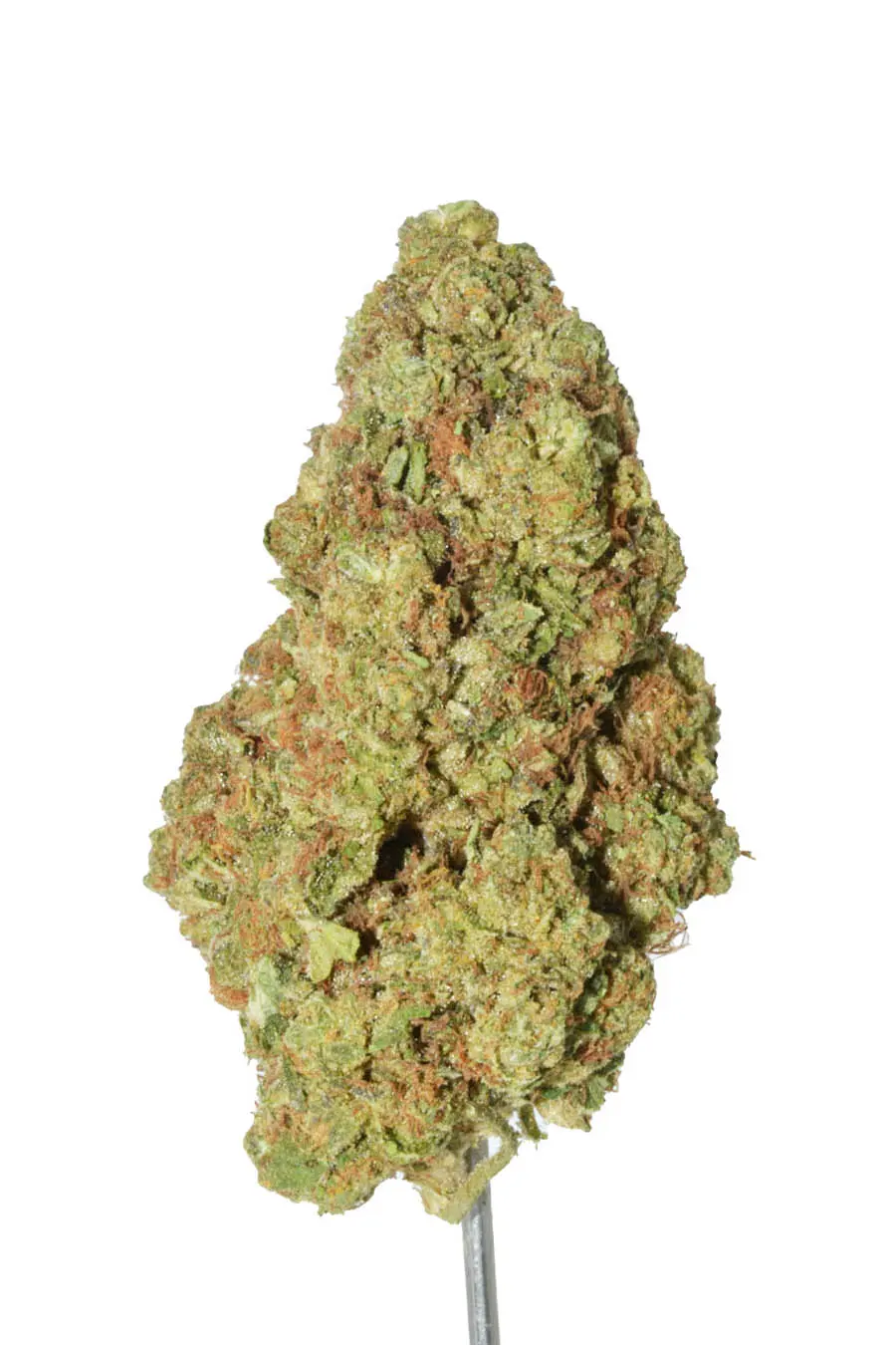 Zoap – 28 Grams