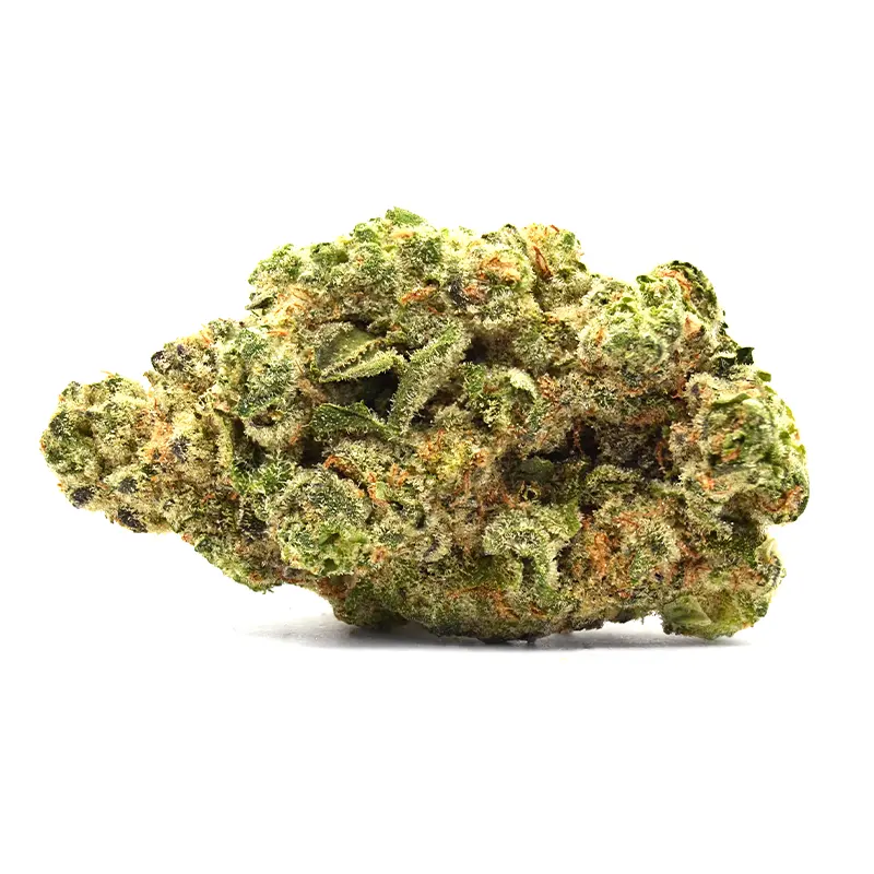 Mango Mentality flower