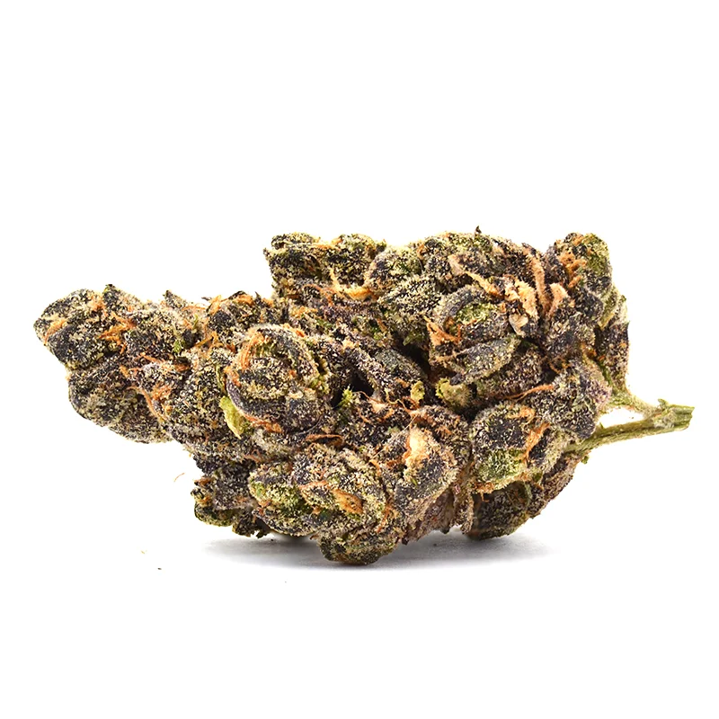 Purple Octane Strain (Hybrid) – 7g