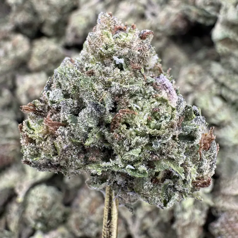 Pink Runtz Strain, 25.5% THCa Flower – 4g