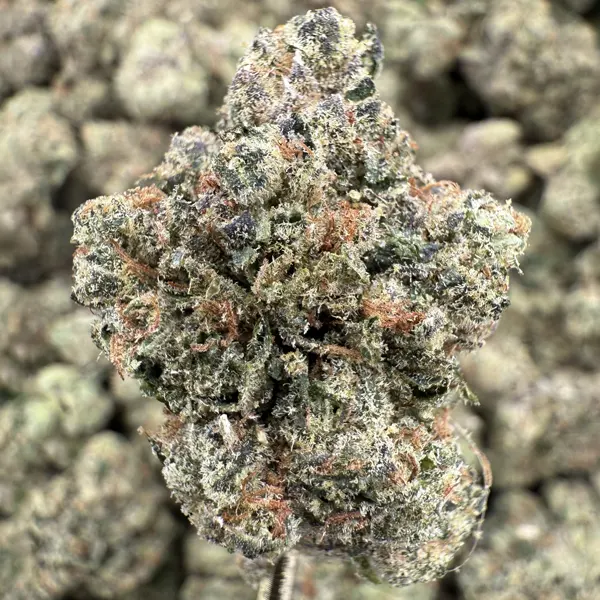 Frosted Cherry Strain, 27.0% THCa Flower – 1 oz