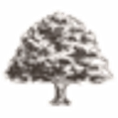 Dogwood Dispensary